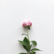 item-1